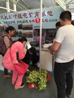 走向全国